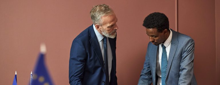 Garfik von Politikberater am arbeiten